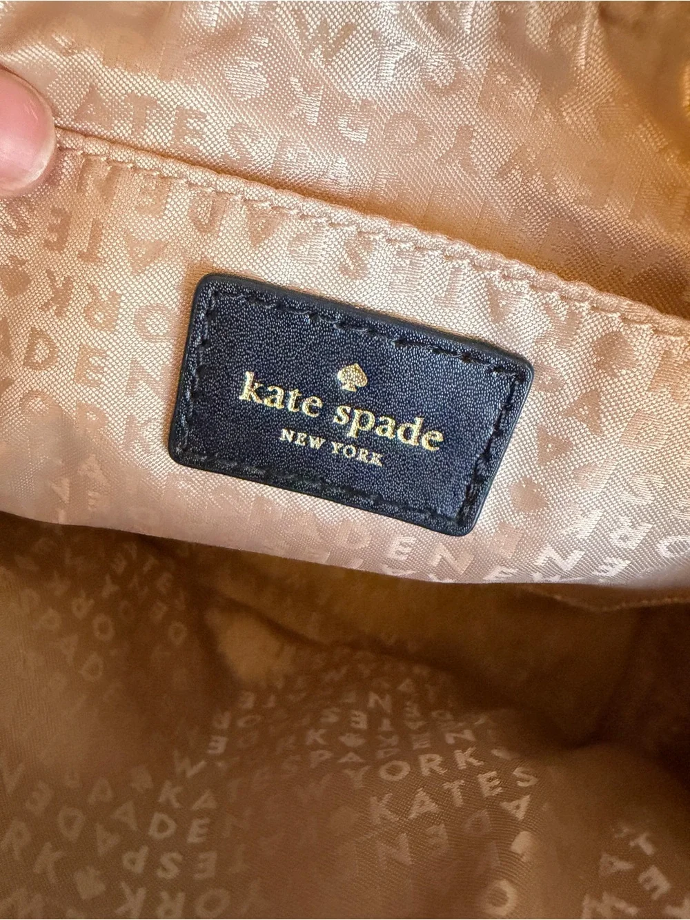Kate Spade New York BRIGHTWATER DRIVE HANNA CROSSBODY EUC
